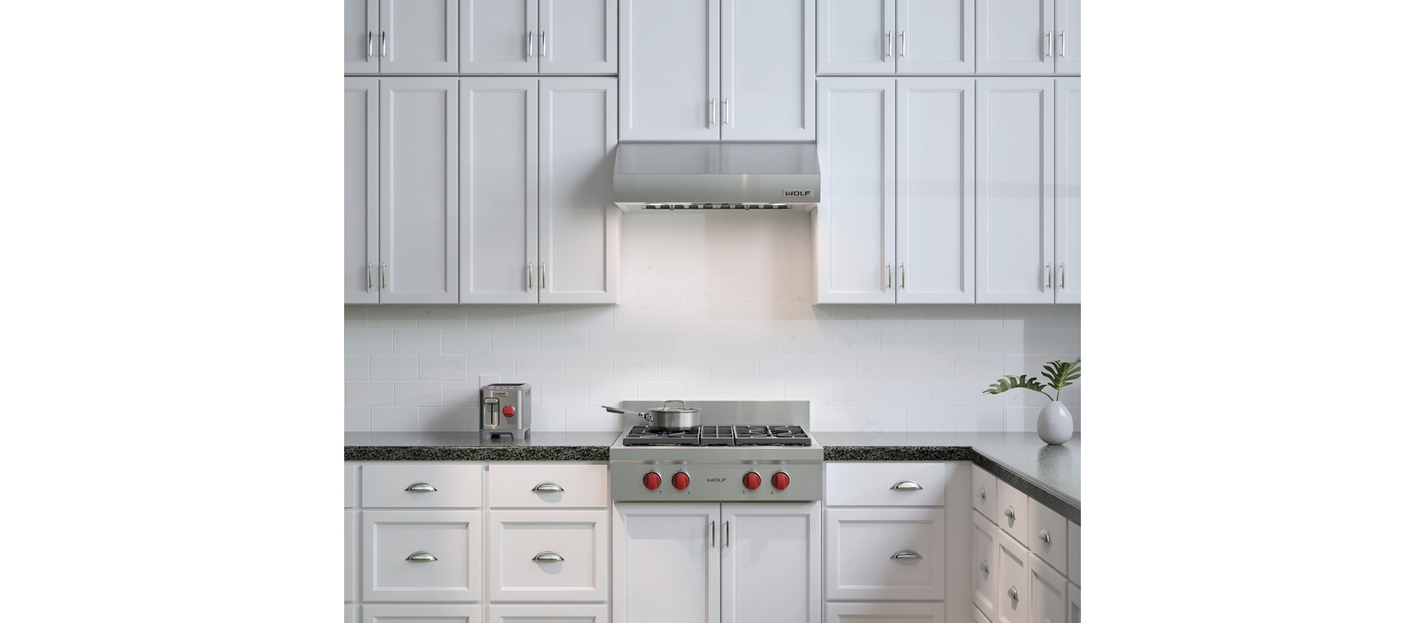 30" Low Profile Wall Hood PW302210 Wolf Appliances