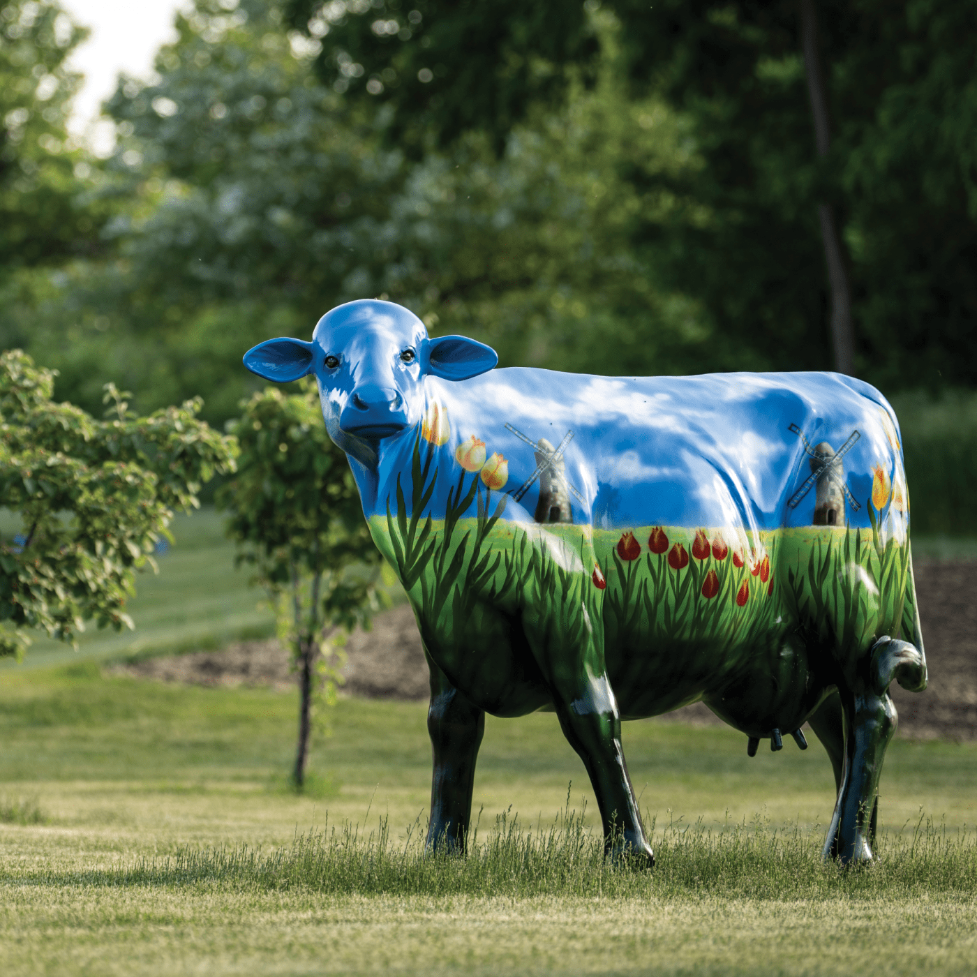 Read Design Article - Field to Table