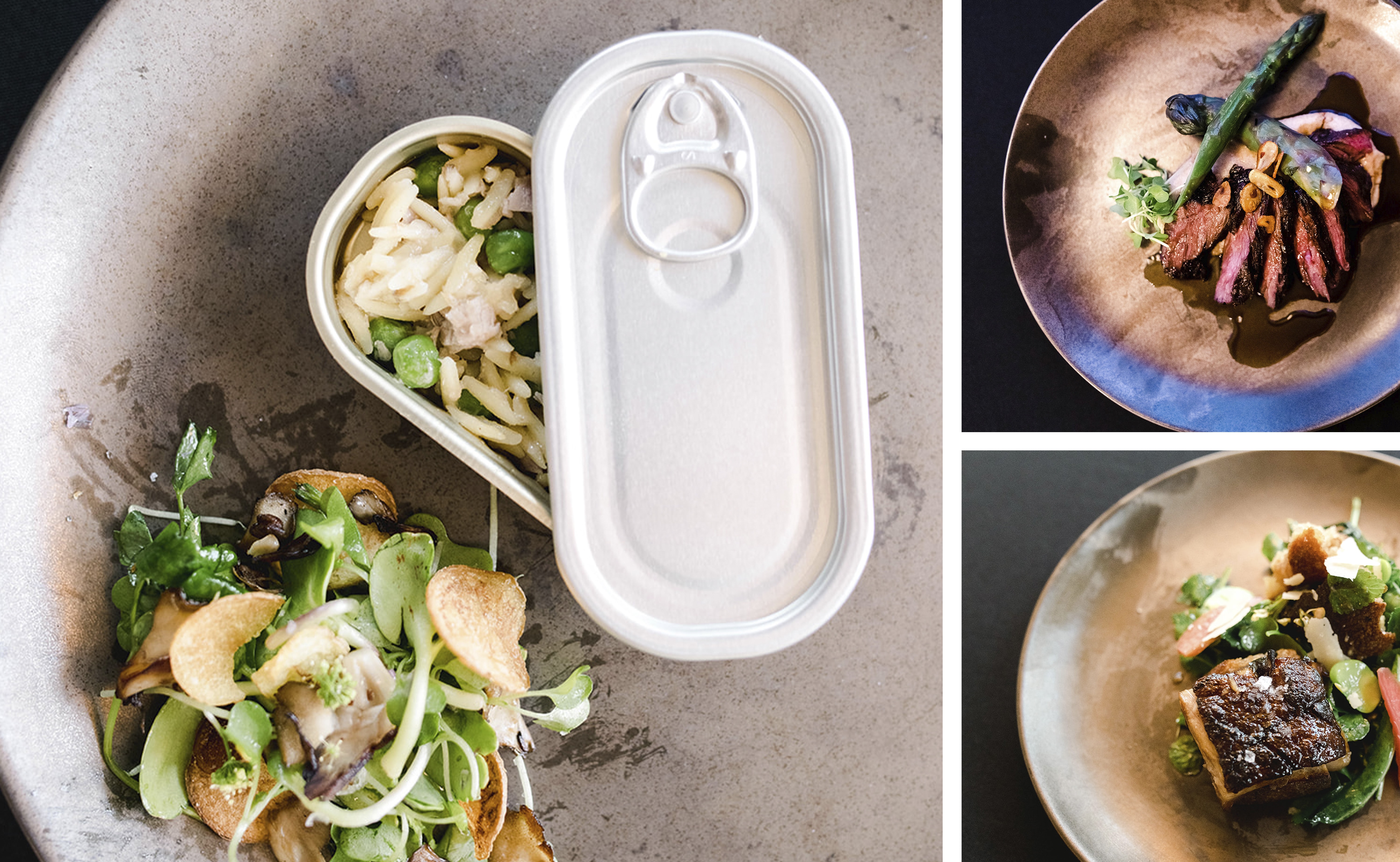 Some of the dishes that delighted Paranjape's guests included (clockwise from left:) Tuna Confit, Hangar Steak with Black Asparagus, and Bread Salad with Sherry Glazed Pork Belly.