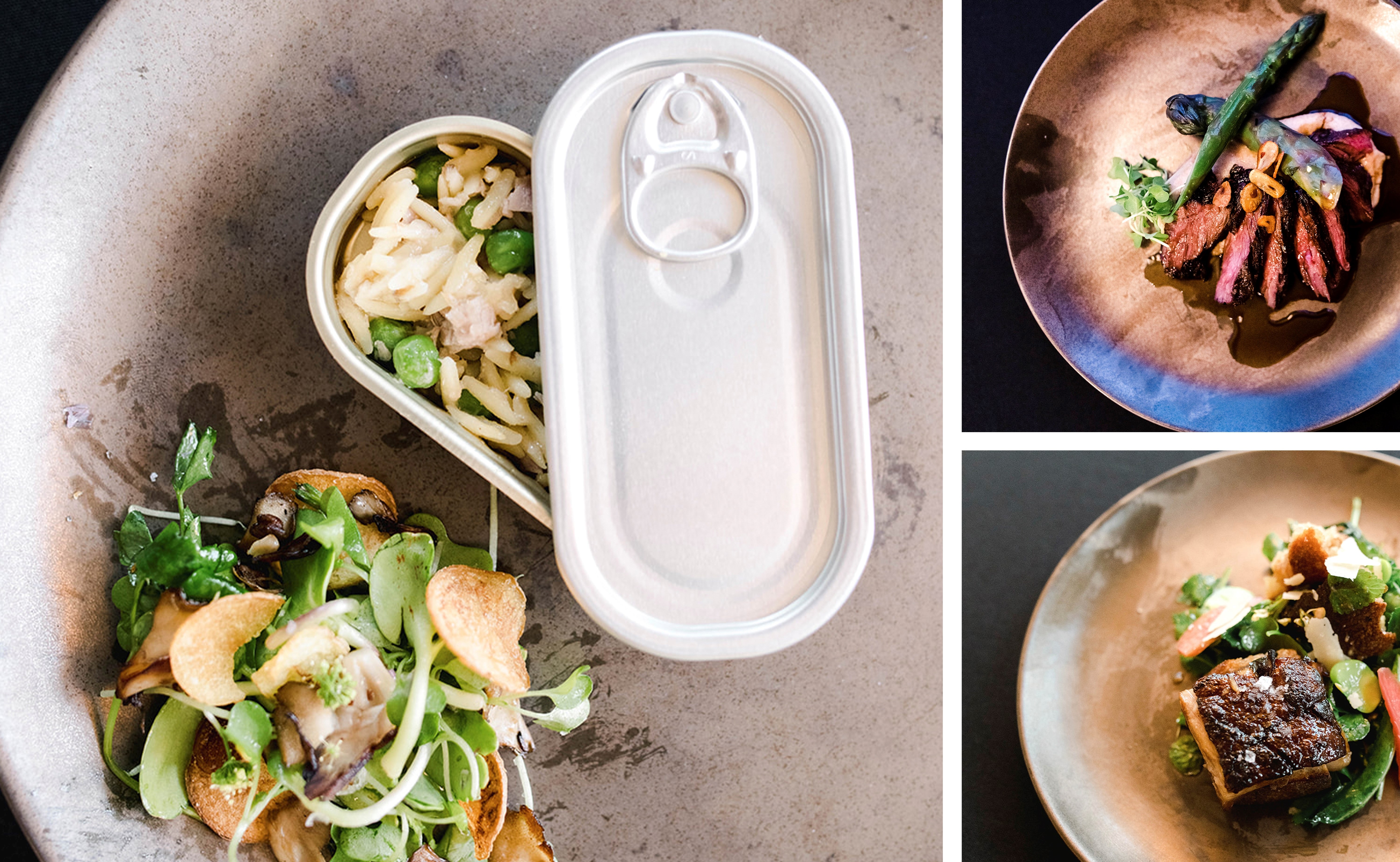 Some of the dishes that delighted Paranjape's guests included (clockwise from left:) Tuna Confit, Hangar Steak with Black Asparagus, and Bread Salad with Sherry Glazed Pork Belly.