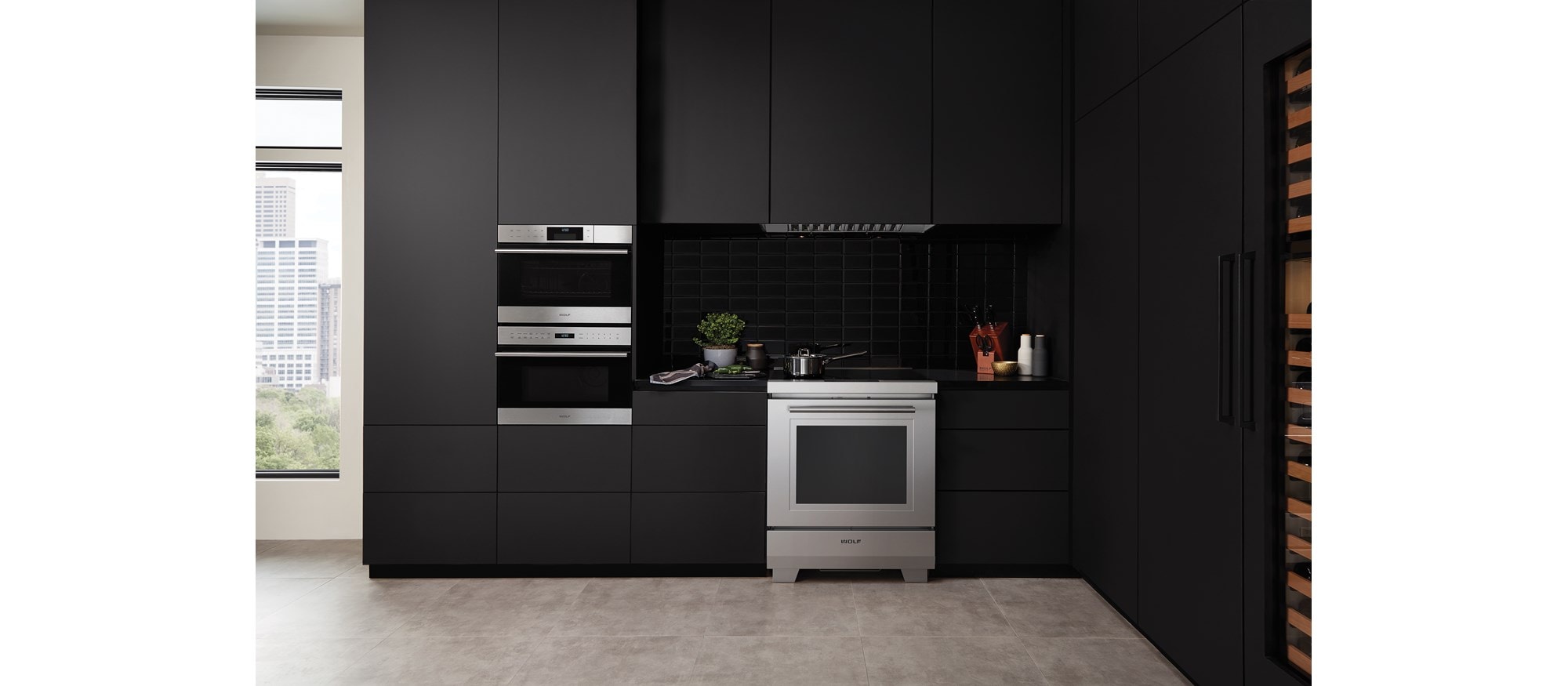 Wolf 24" E Series Transitional Convection Steam Oven (CSO24TE/S/TH)