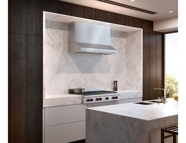 Wolf 48" Low Profile Wall Hood (PW482210)