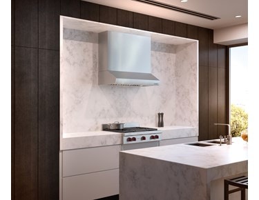 Wolf 42" Low Profile Wall Hood (PW422210)