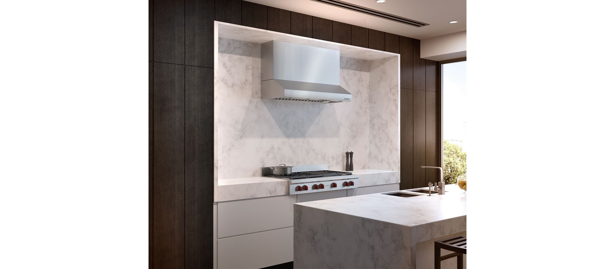 Wolf 48" Low Profile Wall Hood (PW482210)