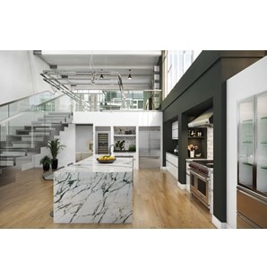  CL3050W/S, CL4250UFD/S, CL4250UFDID/S, DF48650G/S/P, ICBCL3050W/S, ICBDF48650G/S/P, PW482718