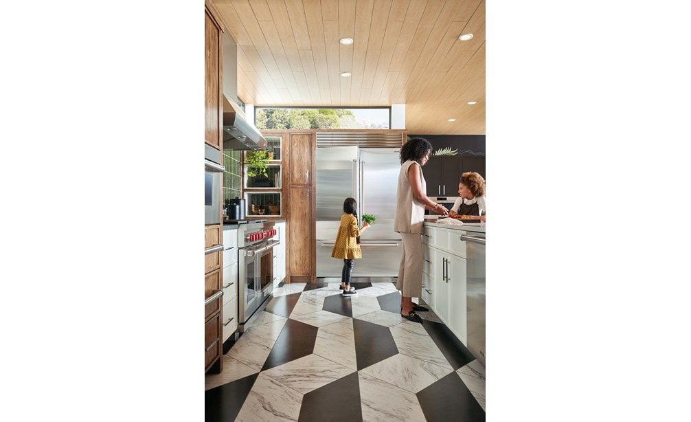 CL4850UFDID/S, DF48450CG/S/P, PWC482418