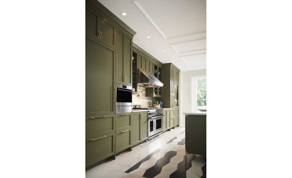 Wolf 24/" E Series Transitional Convection Steam Oven (CSO24TE/S/TH) adds exquisite color to any kitchen while serving gourmet results