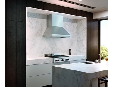 Wolf 42" Pro Wall Chimney Hood (PWC422418)