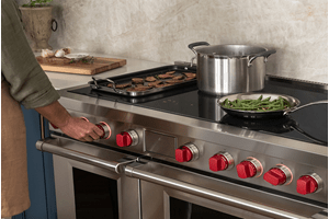 48-inch Pro Induction Range with 7 zones