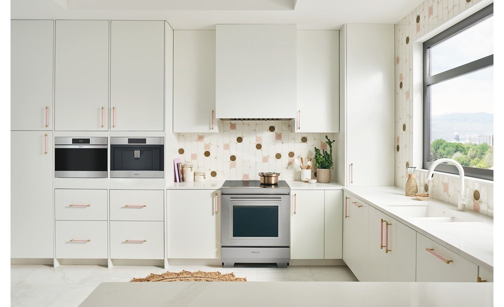 Four à vapeur  de style contemporain en acier inoxydable Wolf Série M 24 po (CSO2450CM/S) dans une cuisine pittoresque blanche et rose avec vue sur la montagne