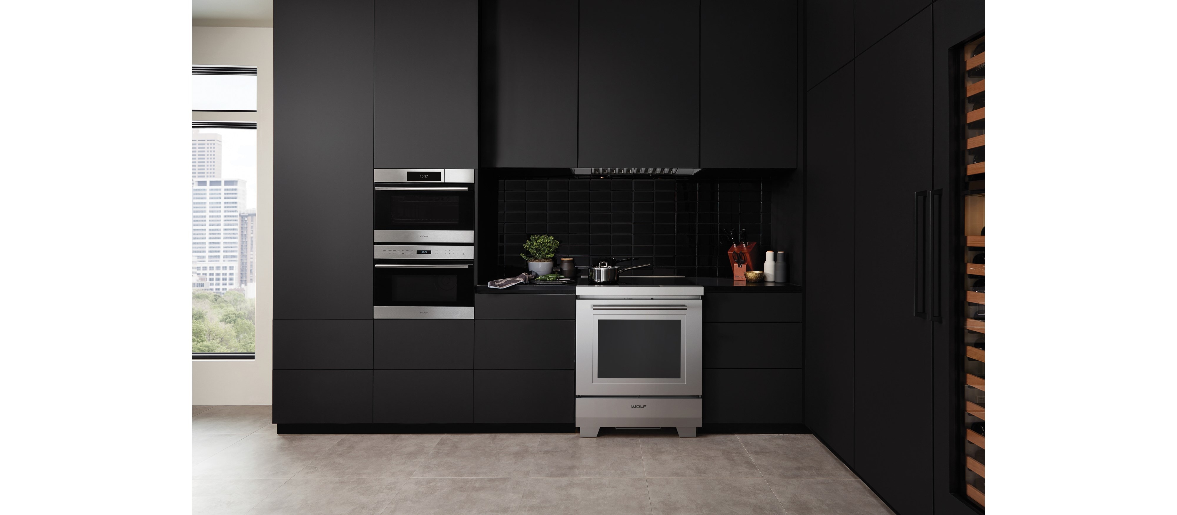 Four à convection-vapeur Wolf 24 po série E de style transitionnel (CSO24TE/S/TH)