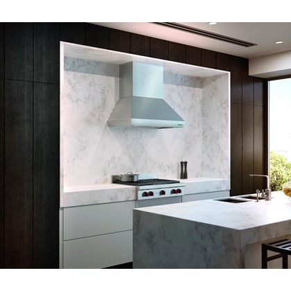 Hotte cheminée murale Wolf 42 po Pro (PWC422418)