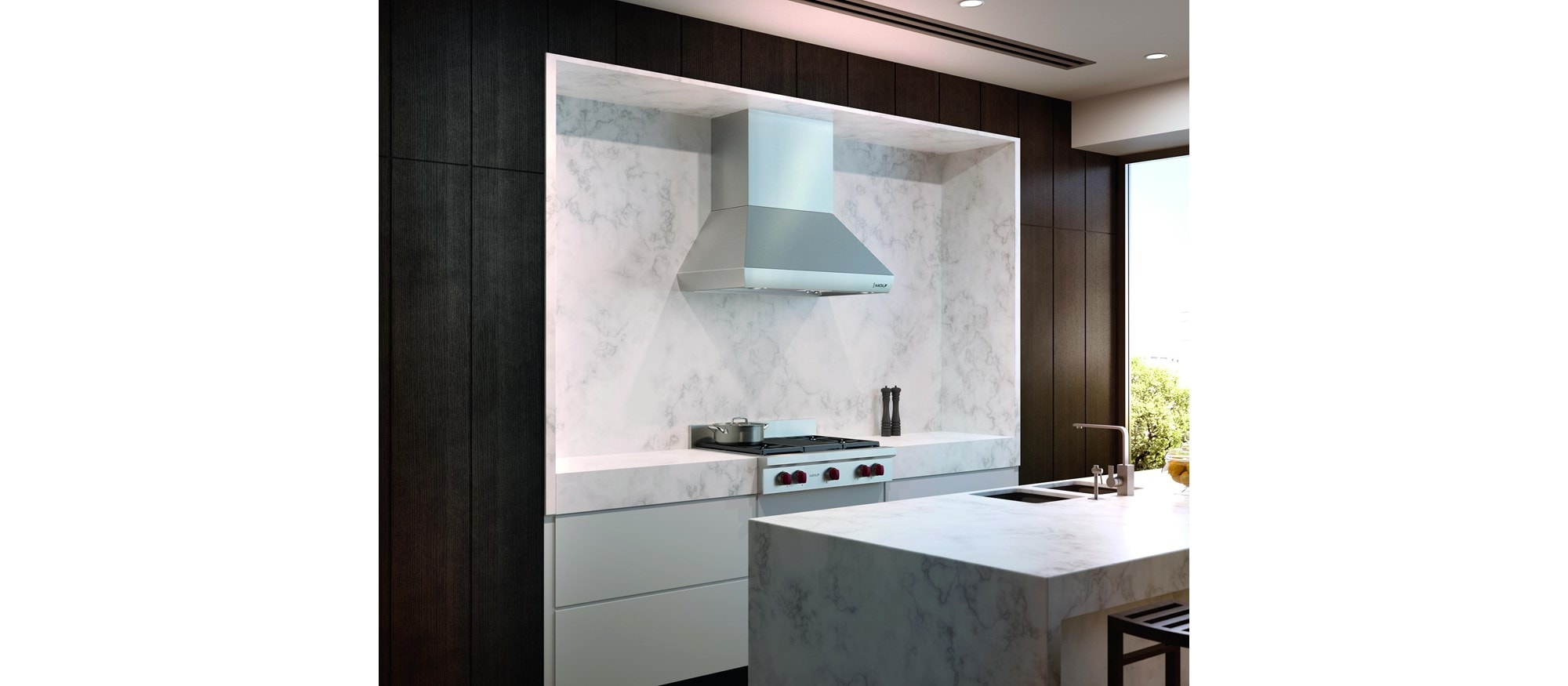 Hotte cheminée murale Wolf 42 po Pro (PWC422418)