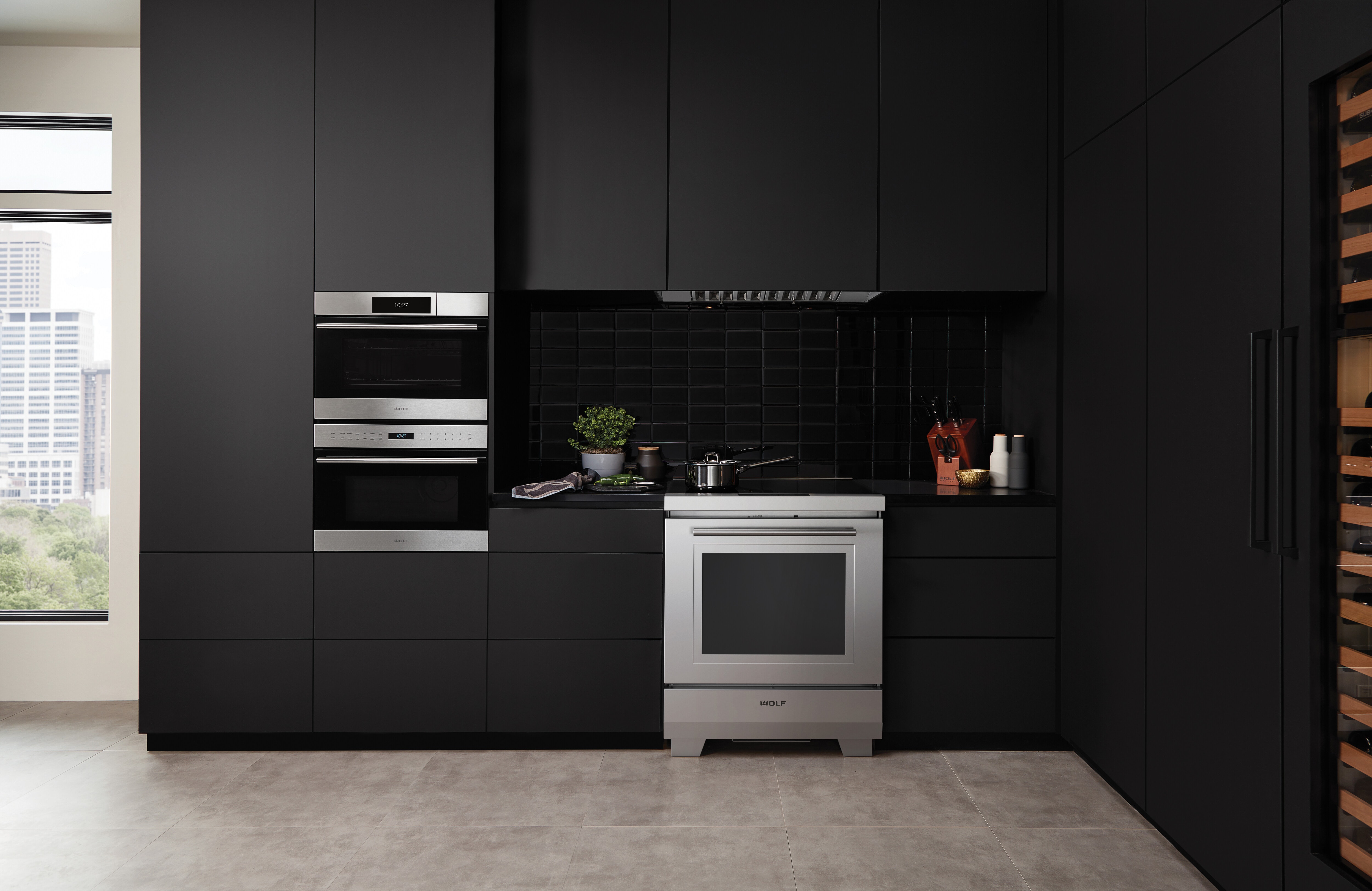 Four à convection-vapeur Wolf 24 po série E de style transitionnel (CSO24TE/S/TH)