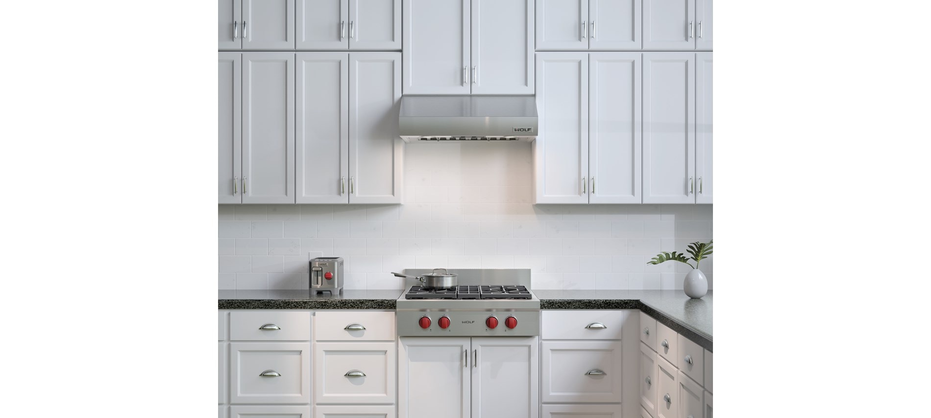 Hotte murale Wolf 30 po à profil bas (PW302210)