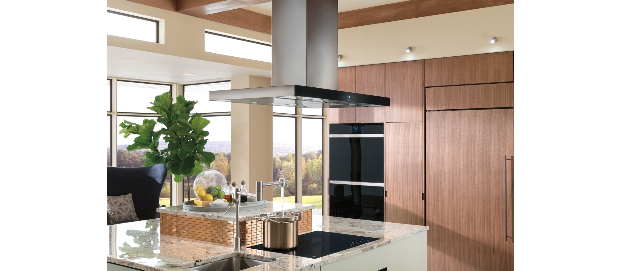 Hotte pour îlot à surface de cuisson Wolf 42 po - noire (VI42B)