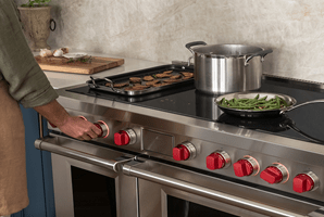 48-inch Pro Induction Range with 7 zones