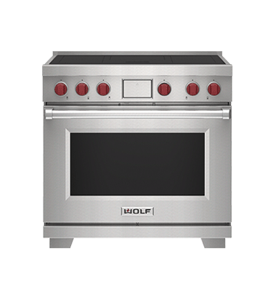 Professional Induction Range